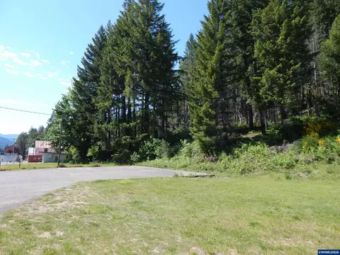 lot900 N 1000 N Santiam Hwy, Idanha, OR 97350
