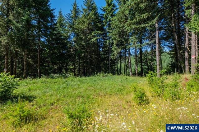 432 Chamberlain Rd, Falls City, OR 97344