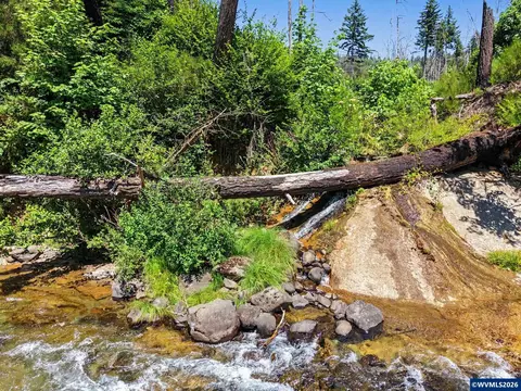 Other - 26457 And 26497 Taylor Park Rd S, Lyons, OR 97358 photo 9 of 14