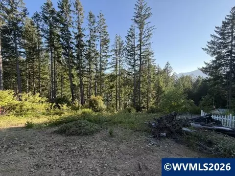145 Howe St E, Detroit, OR 97342 photo 8
