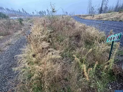 10915 SE Kubin Rd, Lyons, OR 97358 photo 3
