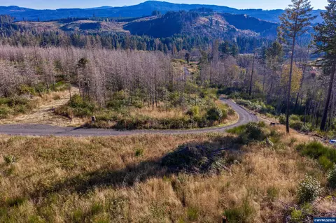 10915 SE Kubin Rd, Lyons, OR 97358 photo 30