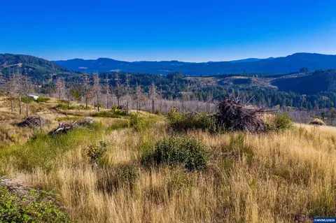 10915 SE Kubin Rd, Lyons, OR 97358 photo 23