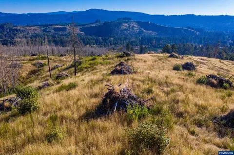 10915 SE Kubin Rd, Lyons, OR 97358 photo 18