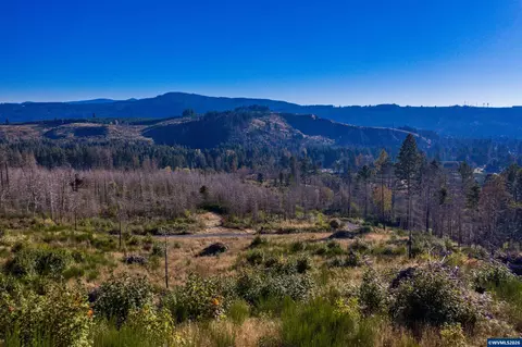 10915 SE Kubin Rd, Lyons, OR 97358 photo 33