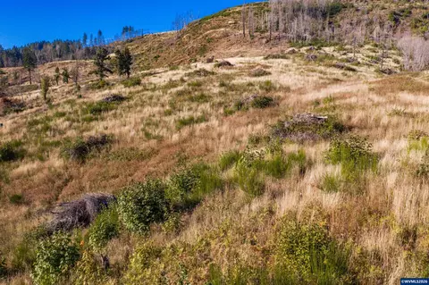 10915 SE Kubin Rd, Lyons, OR 97358 photo 37