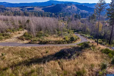10915 SE Kubin Rd, Lyons, OR 97358 photo 30