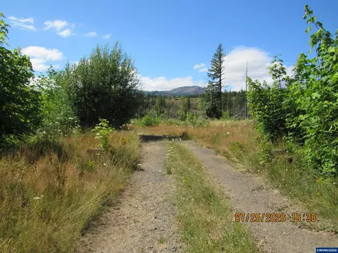 10205 N Fork Ln SE, Lyons, OR 97358 photo 12