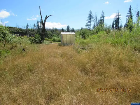 10205 N Fork Ln SE, Lyons, OR 97358 photo 4