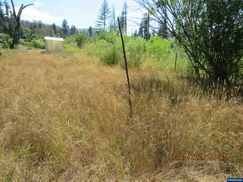10205 N Fork Ln SE, Lyons, OR 97358 photo 3
