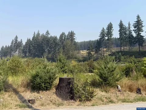 26282 Sitkum St, Lyons, OR 97358 photo 11