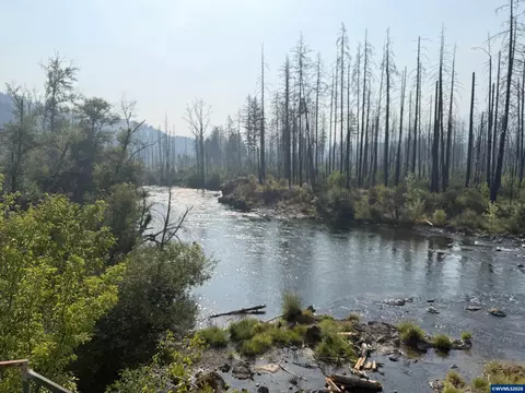 26282 Sitkum St, Lyons, OR 97358 photo 22
