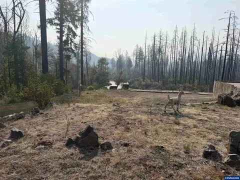 26282 Sitkum St, Lyons, OR 97358 photo 32