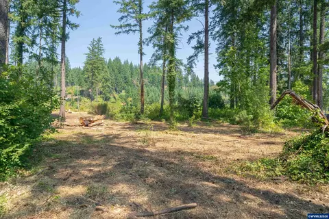 lot1101 Santiam Park Rd SE, Lyons, OR 97358
