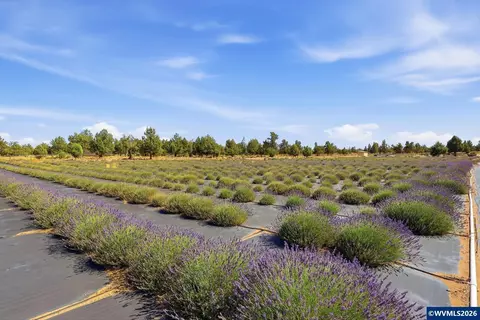 Other - 23525 Bear Creek Rd, Bend, OR 97701 photo 14 of 25