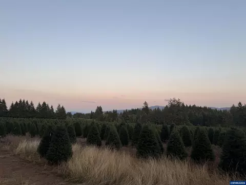 lot604 S Beavercreek Rd, Colton, OR 97042