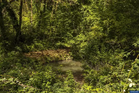 Other - 4599 Eagle Crest Rd NW, Salem, OR 97304 photo 9 of 12