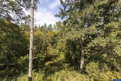 Other - 4599 Eagle Crest Rd NW, Salem, OR 97304 photo 12 of 12