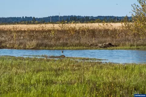 Duckflat Rd, Turner, OR 97392 photo 22