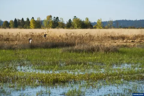 Duckflat Rd, Turner, OR 97392 photo 24