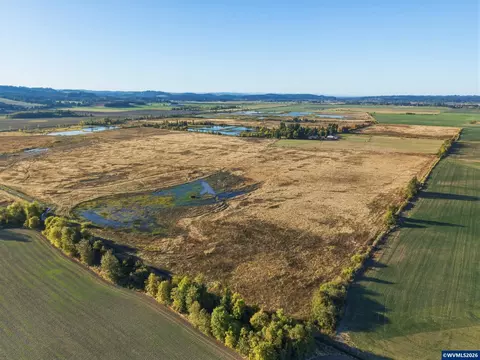 Duckflat Rd, Turner, OR 97392 photo 14