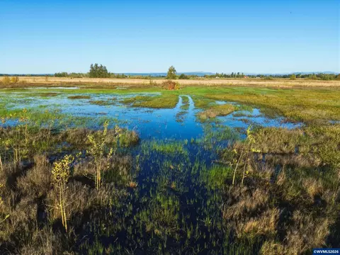 Duckflat Rd, Turner, OR 97392 photo 9