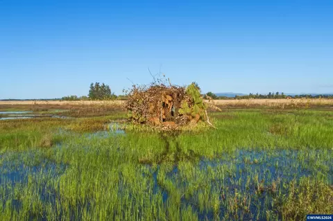 Duckflat Rd, Turner, OR 97392 photo 3