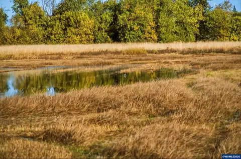 lot900 Duckflat Rd, Turner, OR 97392 photo 24