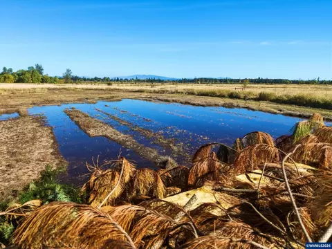 lot900 Duckflat Rd, Turner, OR 97392 photo 20