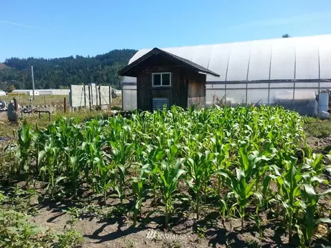 8217 Riverside Rd E, Sumner, WA 98390 photo 2