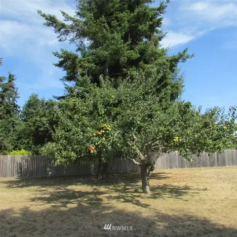 100 W Robert Pl, Sequim, WA 98382 photo 23