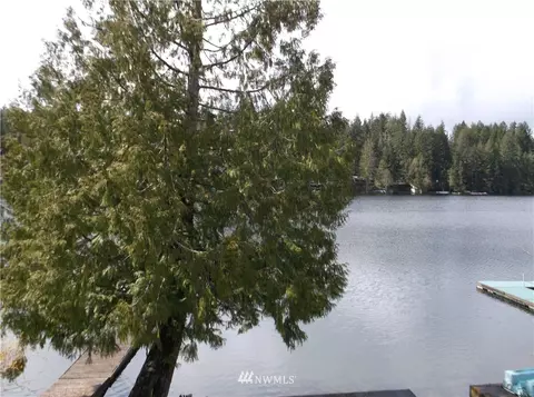 350 E Benson Lake Dr, Grapeview, WA 98546 photo 4