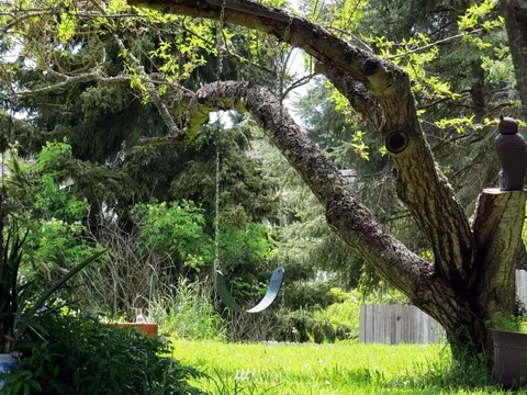 120 E Robert Pl, Sequim, WA 98382 photo 3