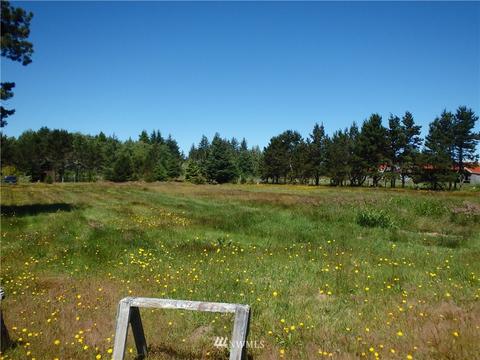 8221 Sandridge Rd, Long Beach, WA 98631 photo 6