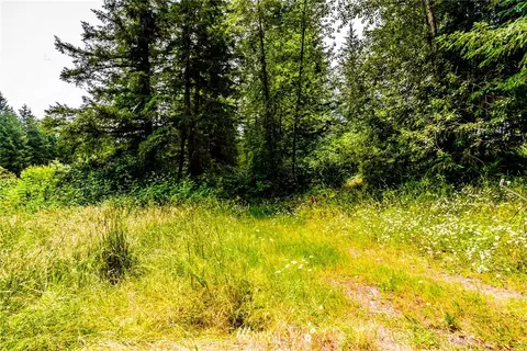 32213 68th Ave S, Roy, WA 98580 photo 6