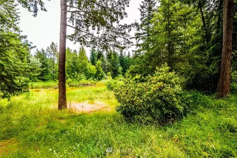 32213 68th Ave S, Roy, WA 98580 photo 2