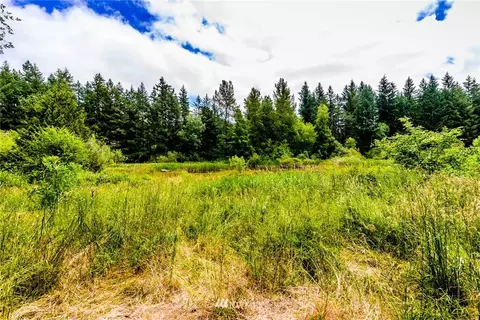 32213 68th Ave S, Roy, WA 98580 photo 4