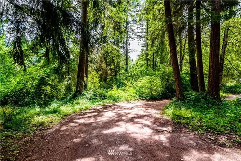 32213 68th Ave S, Roy, WA 98580 photo 13