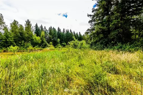 32213 68th Ave S, Roy, WA 98580 photo 5