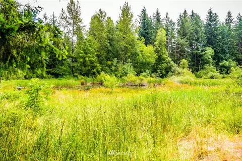 32213 68th Ave S, Roy, WA 98580 photo 3