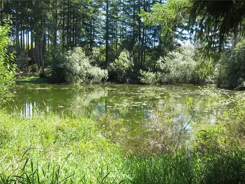 323 Emerald Lake Dr W, Grapeview, WA 98526 photo 1