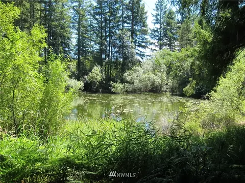 323 Emerald Lake Dr W, Grapeview, WA 98526 photo 4