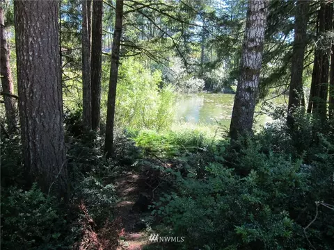 323 Emerald Lake Dr W, Grapeview, WA 98526 photo 11