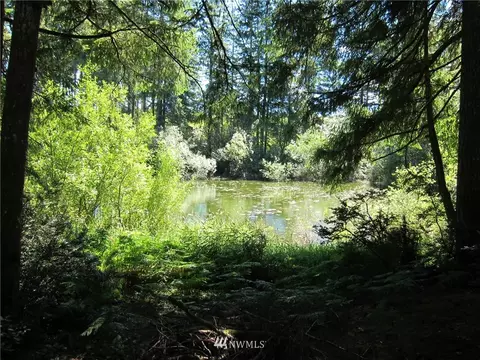 323 Emerald Lake Dr W, Grapeview, WA 98526 photo 3