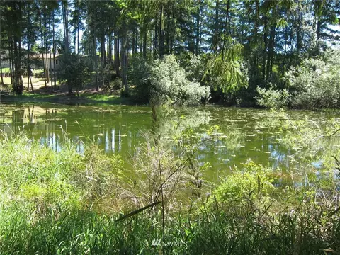 323 Emerald Lake Dr W, Grapeview, WA 98526 photo 2