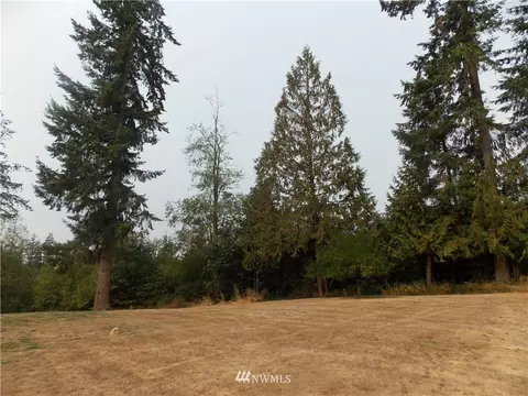 319 Middle Fork Rd, Chehalis, WA 98532 photo 21