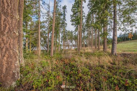 483 Hardwick Rd, Sequim, WA 98382 photo 8