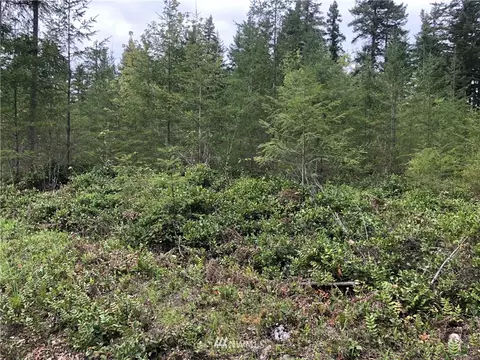 19210 Patterson Rd E, Orting, WA 98360 photo 2