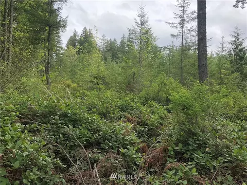 19210 Patterson Rd E, Orting, WA 98360 photo 4