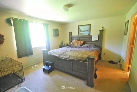 29118 9th Ave E, Roy, WA 98580 photo 17